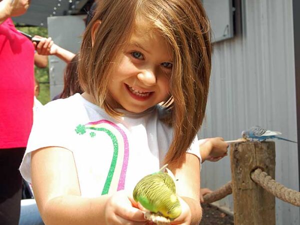 Girl with bird at zoo.