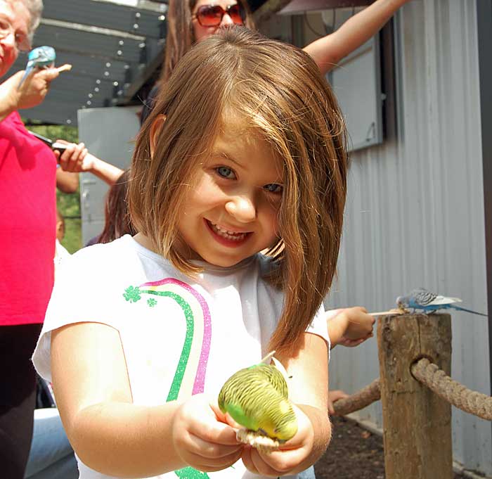 Girl with bird at zoo.