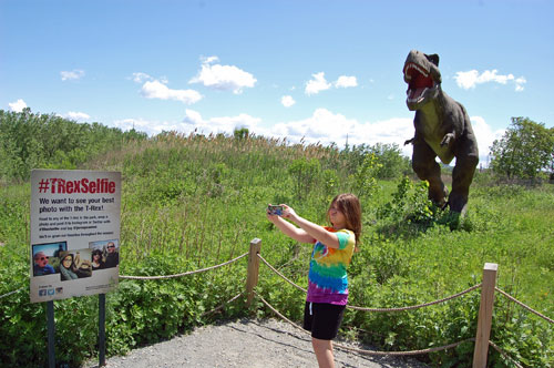 TRexSelfie at Field Station: Dinosaurs