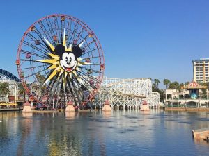 Disneyland vs Disney World: Which is Better? | The TV Traveler