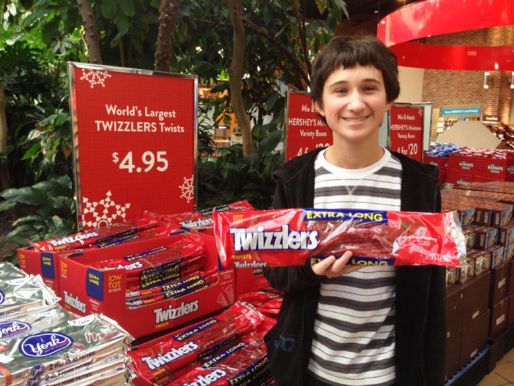 world's largest twizzlers