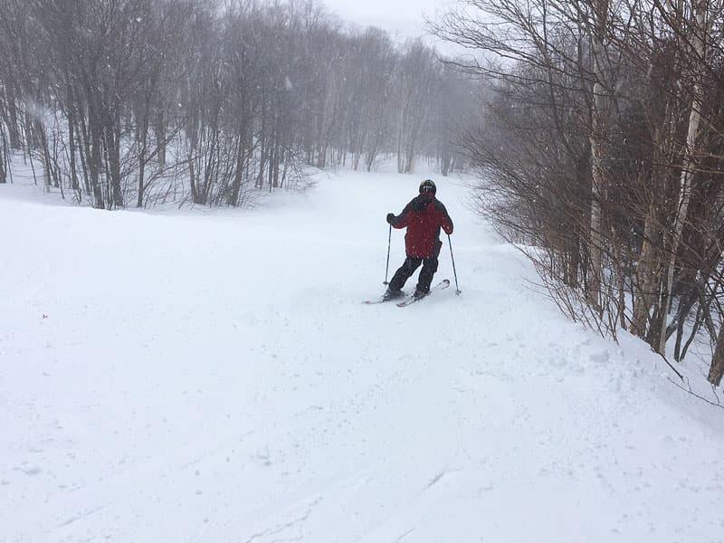 skier on a trail
