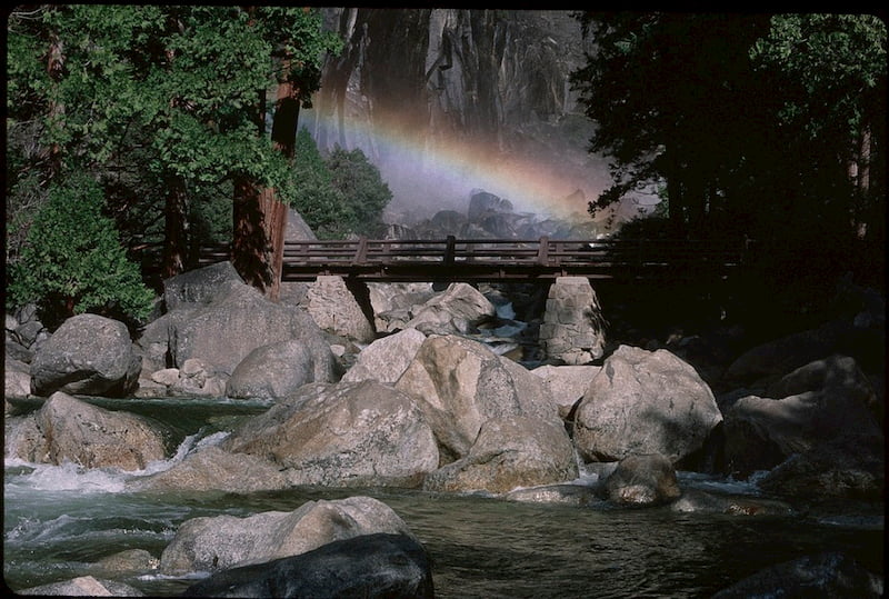 Yosemite National Park