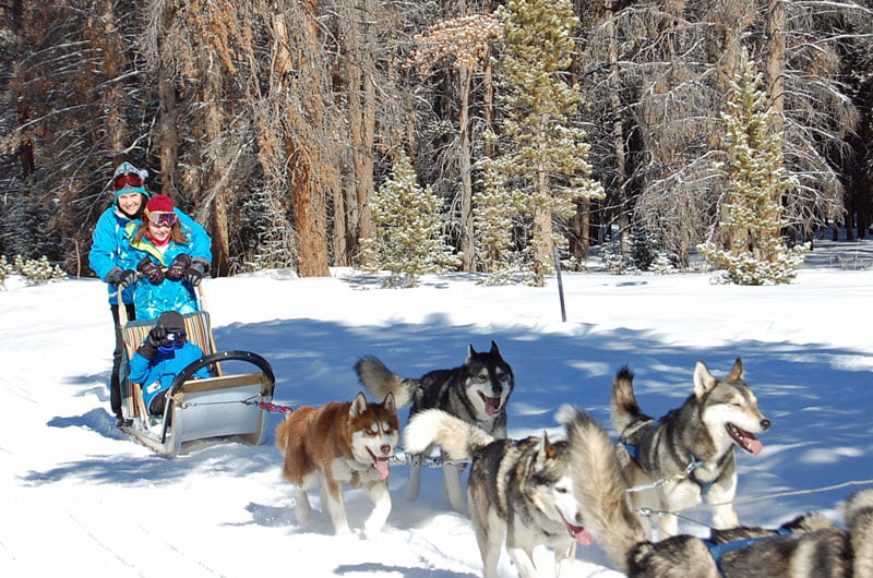 dog sledding in Breckenridge