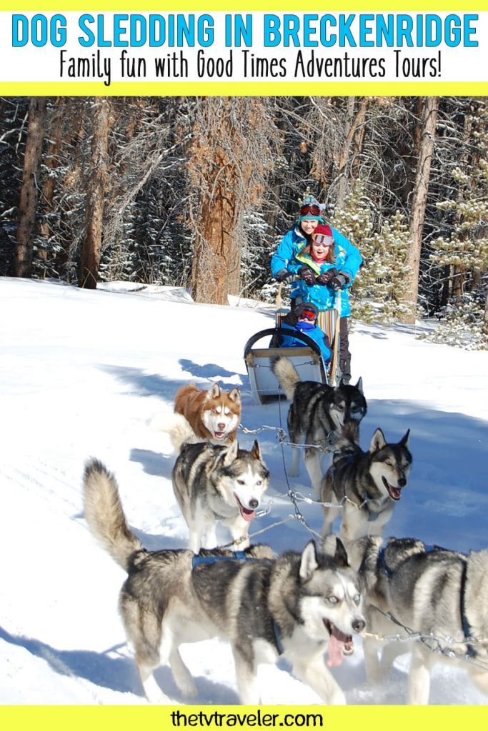 dog sledding image for pinterest