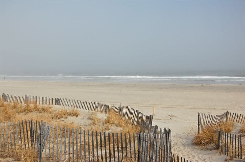 are dogs allowed on cape may beach