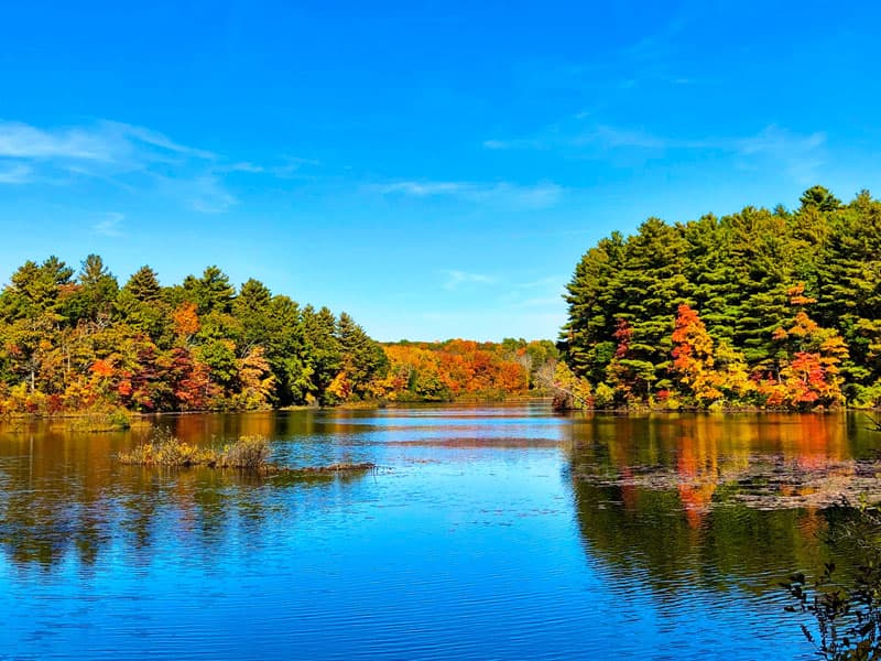 lake and fall foliage