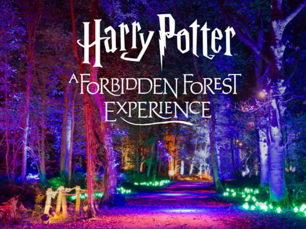 Forest path with lights at Forbidden Forest Experience.